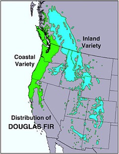 Map of Douglas Fir Distribution