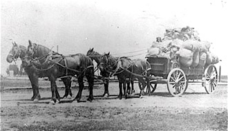Photo of old freight wagon and team