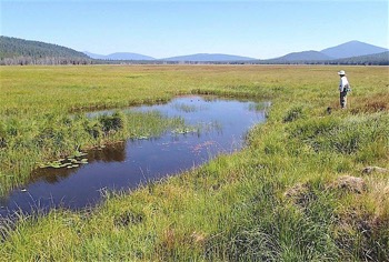 Wide View of Big Marsh and Pond
