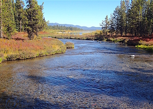 Quinn River Spawning Site