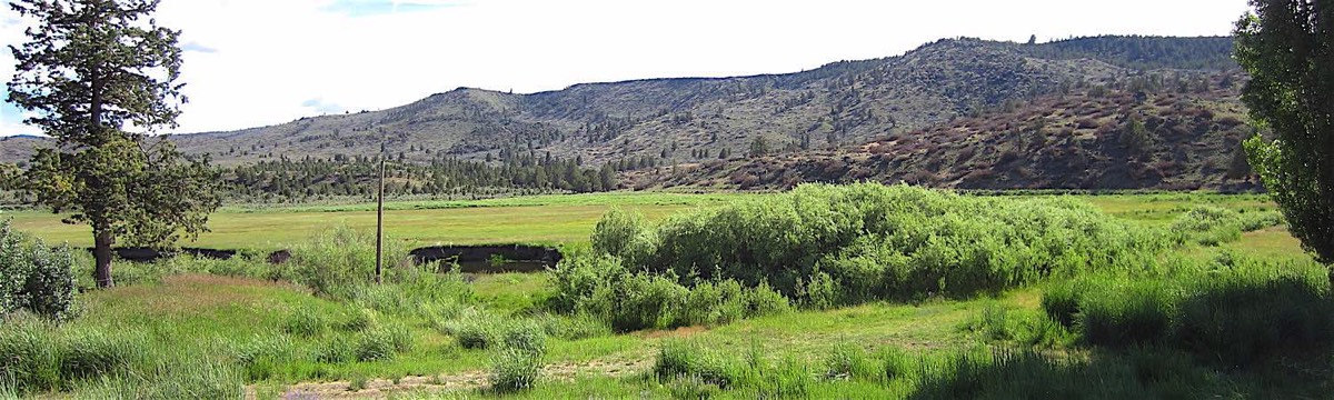View of Fields near Post, Oregon