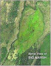 Aerial View of Big Marsh