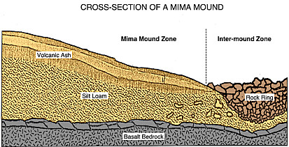 Cross-Section Diagram of a Mima Mound